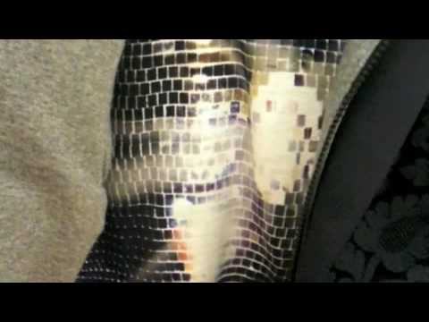 Buckstyle SHOW VIDEO: Moschino Autumn/Winter 2010