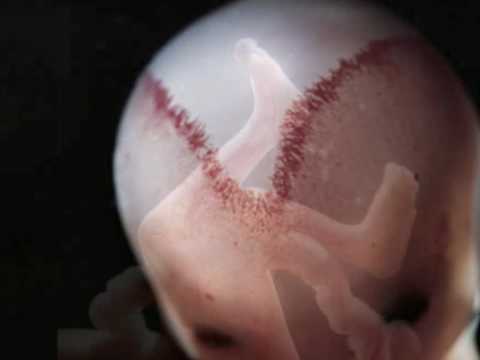 Cerys Matthews - Weightless Again