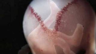 Cerys Matthews - Weightless Again