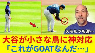 「動物は本能で分かるんだよ…」大谷翔平が小さな鳥に見せた神対応に全米が涙…ジョン・スモルツの“史上最高発言”後に起きていたこと