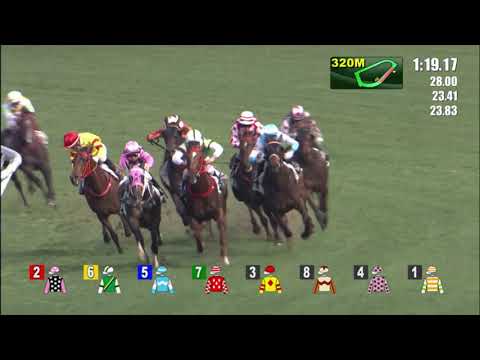 25/5/2022 (693) My Ecstatic -  Derek Leung