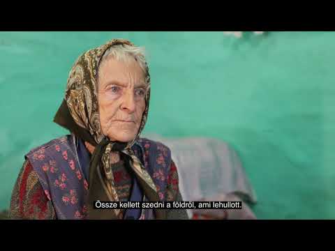 Erdővidék 100 arca - Marucza Vilmika néni, Szárazajta (25. rész)