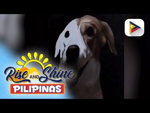 Kilalanin ang colorblind na si Charlie Sulayao!