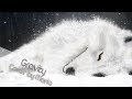 【Maria】Wolfs Rain - Gravity 