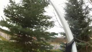 Install Christmas Lights on tall tree no ladder