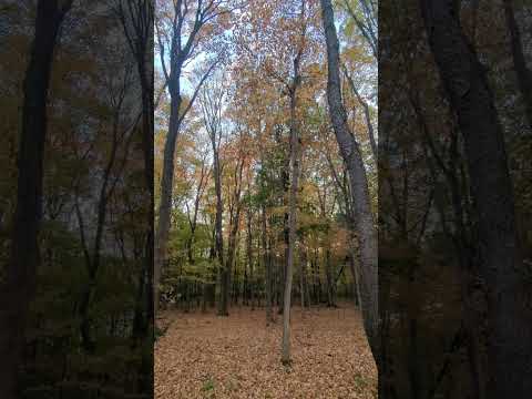 You Matter 🫶❤️🧡💛💚💙💜🤎🖤🩷🤍🩵✨