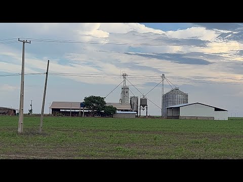 Plantação de soja região sul do Maranhão 20/12/2025 - São Raimundo das Mangabeiras 