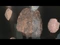 New meteorite display at Portland Jetport includes some of world's largest pieces of the Moon, Mars