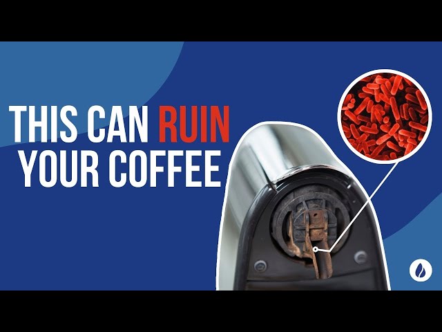 Vídeo relacionado con Caffenu 10 cápsulas de limpieza compatible con Nespresso Original Line, Limpia Accesorios y Componentes Internos