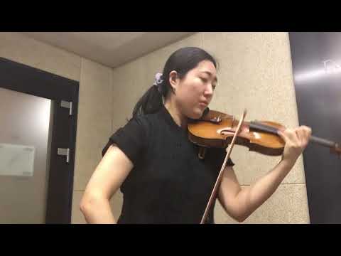 R.Wagner - Siegfried Act 3 Scene 3 Das ist kein Mann