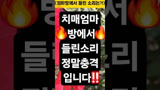 Download lagu 치매엄마방에서 들린 소리가 충격적입니다! #사연소개 #사연라디오 #사연읽어주는여자 mp3 Download lagu 치매엄마방에서 들린 소리가 충격적입니다! #사연소개 #사연라디오 #사연읽어주는여자 mp3