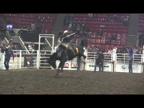 Rylan Geiger 90 points on Vold's W66 Rob Roy at the 2013 Calgary Roughstock Rumble