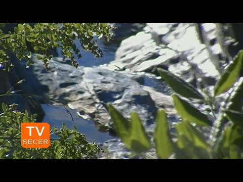 El Parrón - Región del Maule [28/10/2012]