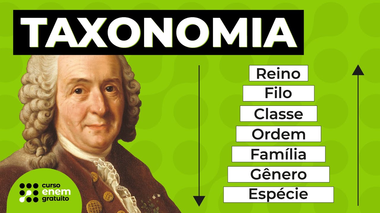 TAXONOMIA | SISTEMA DE CLASSIFICAÇÃO DOS SERES VIVOS | Resumo de Biologia para o Enem