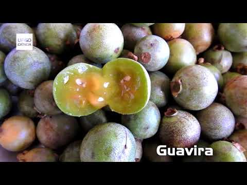 UFGD Ciência 01/2018 - Maria do Carmo Vieira