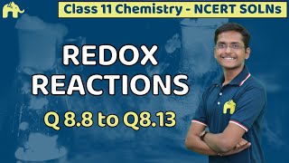 Redox Reactions Class 11 Chemistry | Chapter 8 Ncert Solutions Questions 8-13