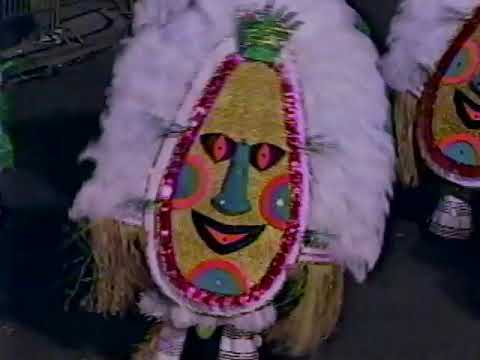 1996 Saturnalian Fancy Brigade "A Polynesian Odyssey" - 12th Place