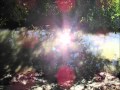 The Legendary Pink Dots ‎- The Region Beyond