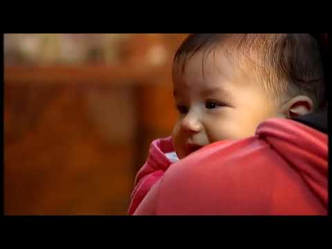 ČUDA U MANASTIRU BEOČIN