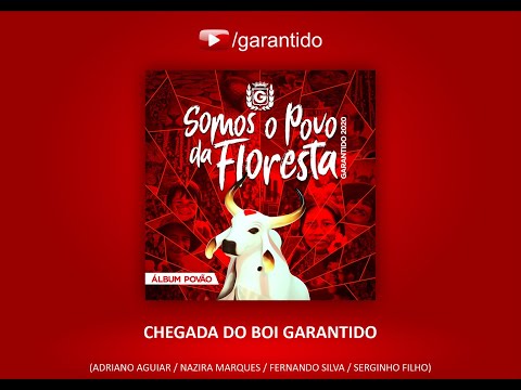 CHEGADA DO BOI GARANTIDO - CD BOI GARANTIDO 2020 - Somos o Povo da Floresta ( Álbum Povão)