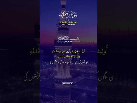 Most beautiful mosque and places in the word #beautiful #recitation #alquran #surahaleimran #100k