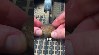 That Is In ROCKS!? ⛏️😎