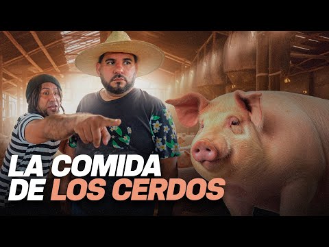 Agapito Díaz en la granja de los cerdos