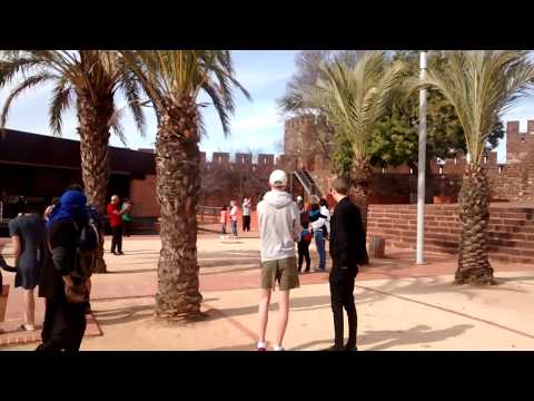 Harris Hawk display at the castle in Solves, Portugal.