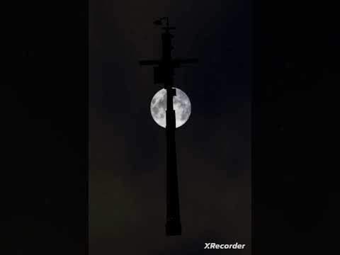 Find the Chomiks but bad OST - Lump (The Tower Realm) - by Bnob