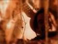 Michael Franti & Spearhead - People in tha Middle
