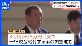 自民党関係者「お金がいくらあっても足りないよ」　与野党から“減税”の大合唱 トランプ関税に物価高…参院選見据えた動きが活発に｜TBS NEWS DIG