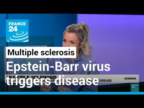 Multiple sclerosis: Study finds Epstein-Barr virus triggers autoimmune disease • FRANCE 24 English