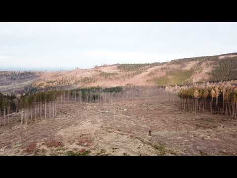 Kalamita Jeseníky 2018 - Jaro (16)