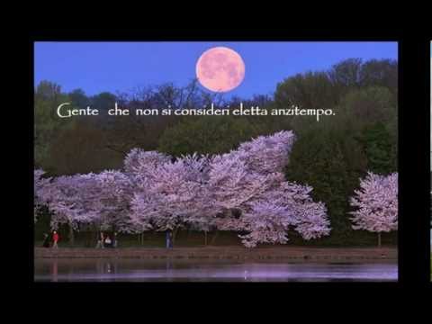 KIRTAN Viaggiatore senza tempo e Perle di saggezza - Il tempo prezioso delle persone mature