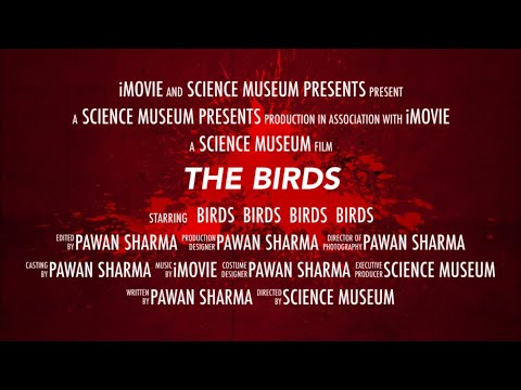 THE BIRDS #Teaser #Trailer