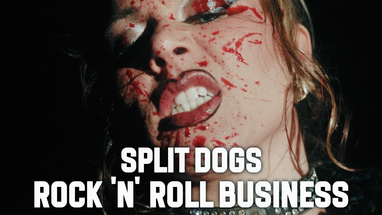 SPLIT DOGS - ROCK &lsquo;N&rsquo; ROLL BUSINESS (OFFICIAL VIDEO) - YouTube