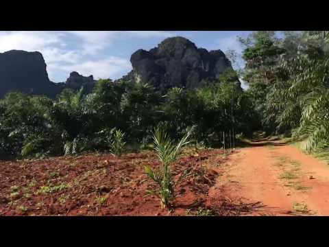 Beautiful Mountain Views from this 9 Rai Land for Sale in Khao Thong Krabi