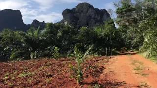 Beautiful Mountain Views from this 9 Rai Land for Sale in Khao Thong Krabi