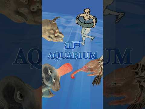 人文学科 江戸のAQUARIUM
