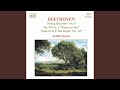 String Quartet No. 12 in E-Flat Major, Op. 127: III. Scherzando vivace