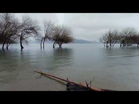 Hasta acá llega el LAGO PUELO cuando CRECE #primavera 2026 #parquenacional #patagonia #argentina 