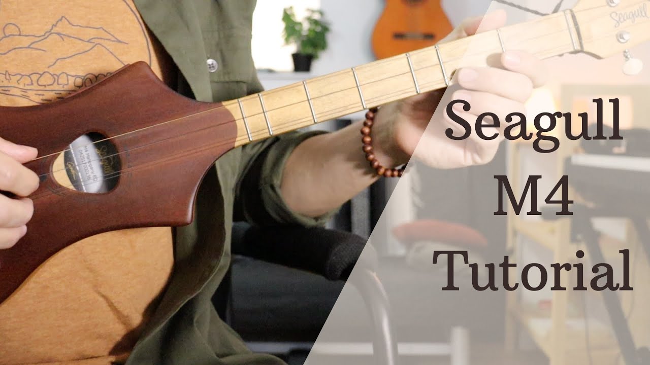 Seagull Merlin M4 - Fingerpicking Pattern Tutorial