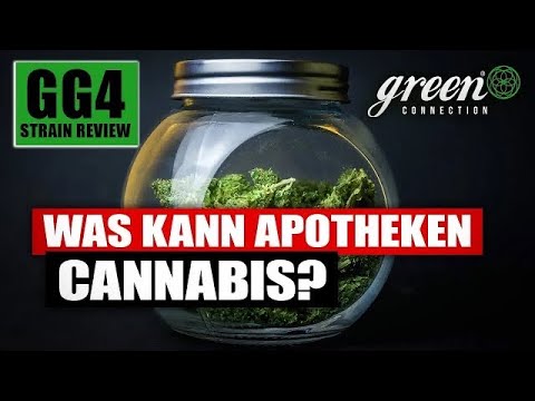 Legales Cannabis aus der Apotheke!Strain Review: Gorilla Glue #4 | GG#4 | GreenConnection