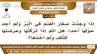 [1878 -3022] إذا وجدت صغار الغنم في البر ولم أجد حولها أحدا، هل آثم إذا تركتها ولم آخذها؟