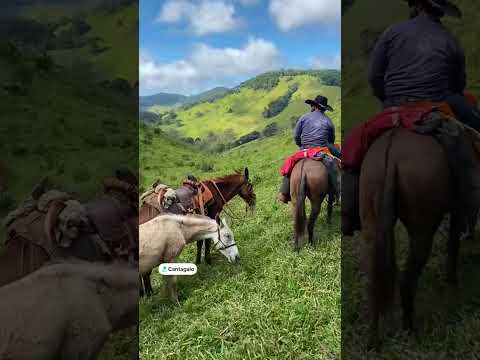 14º Dia | Cantagalo MG a Campos do Jordão - SP #cavalo #comitivasdobrasil #fly #brasil #shorts 
