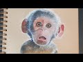Drawing Boots The Monkey Dora