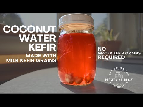 Make Coconut Water Kefir with Milk Kefir Grains