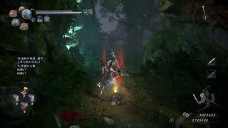仁王2をトロコンしてみたい配信