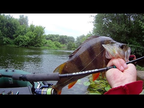 RCS-772M 6-24 грамм