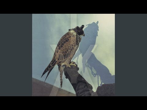 Everything Drifts - Iceage